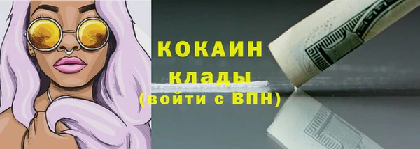 PSILOCYBIN Верхний Тагил