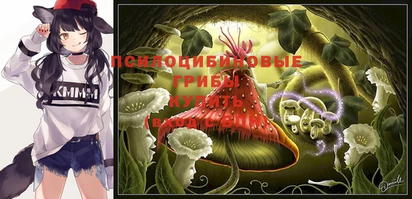 PSILOCYBIN Верхний Тагил