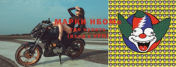 дживик Верея