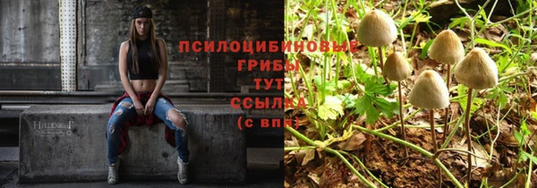 PSILOCYBIN Верхний Тагил