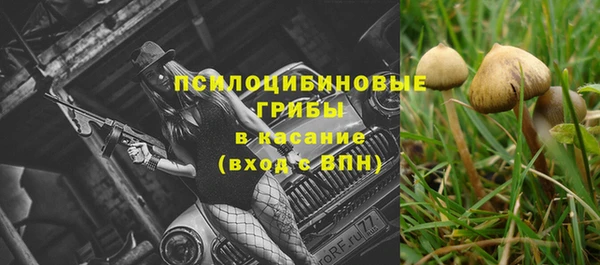 PSILOCYBIN Верхний Тагил