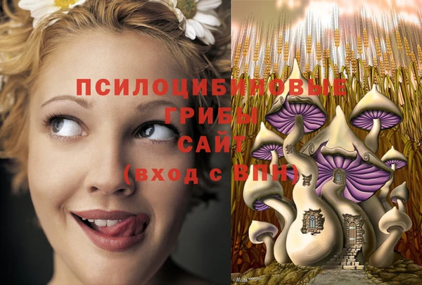 PSILOCYBIN Верхний Тагил