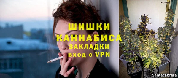 дживик Верея