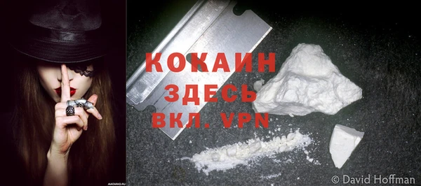 дживик Верея